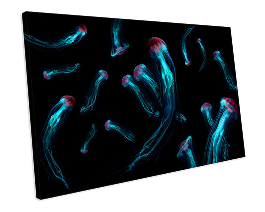 Jelly Fish Animal Wildlife CANVAS WALL ART Box Framed Picture Print