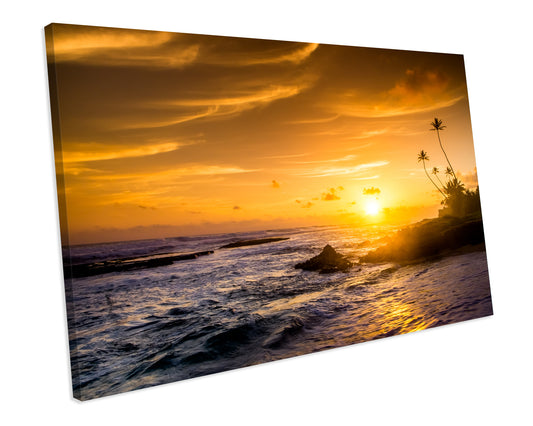 Coconut Palm Exotic Sunset Sri Lanka Beach CANVAS WALL ART Box Framed Picture Print