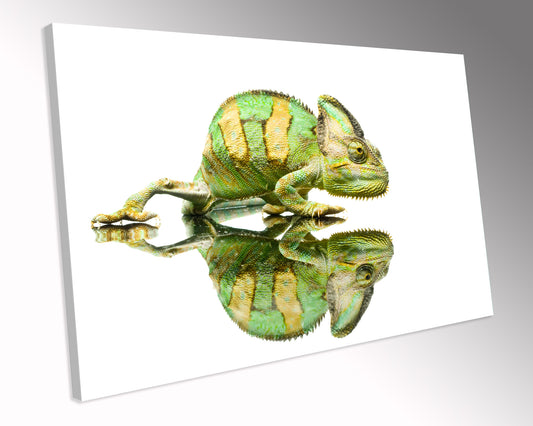 Chameleon Lizard Exotic Animal CANVAS WALL ART Box Framed Picture Print