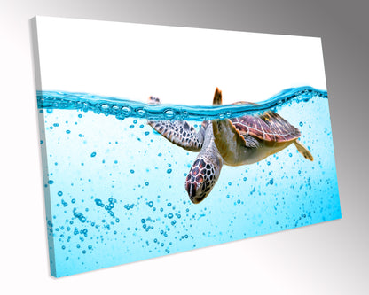 Sea Turtle Wildlife CANVAS WALL ART Box Framed Picture Print