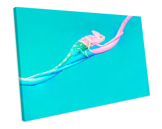 Chameleon Animal Wildlife CANVAS WALL ART Box Framed Picture Print