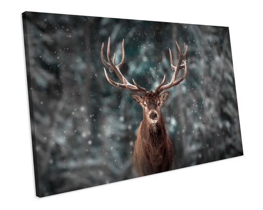 Winter Stag Forest CANVAS WALL ART Box Framed Picture Print