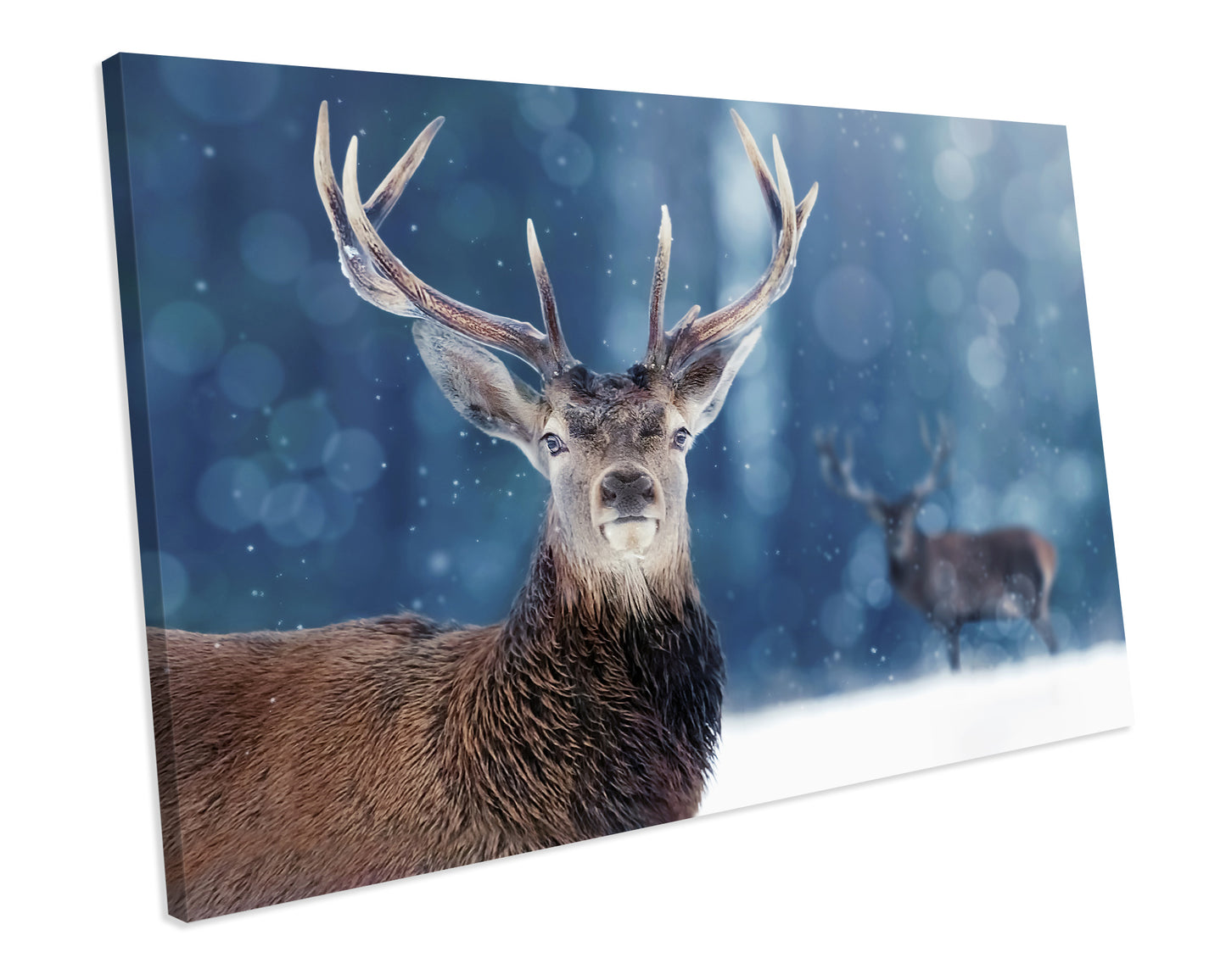 Stag Deer Wildlife Animals Winter CANVAS WALL ART Box Framed Picture Print