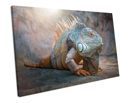 Green Iguana Lizard Animal CANVAS WALL ART Box Framed Picture Print