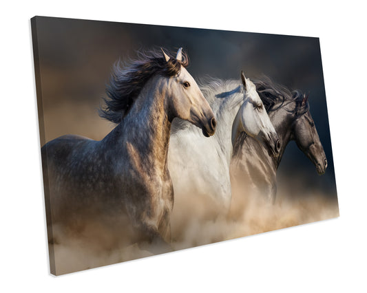 Wild Horses Animal Wildlife CANVAS WALL ART Box Framed Picture Print