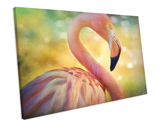 flamingo canvas print