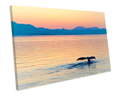 Sunset Ocean Whale Animal Wildlife CANVAS WALL ART Box Framed Picture Print