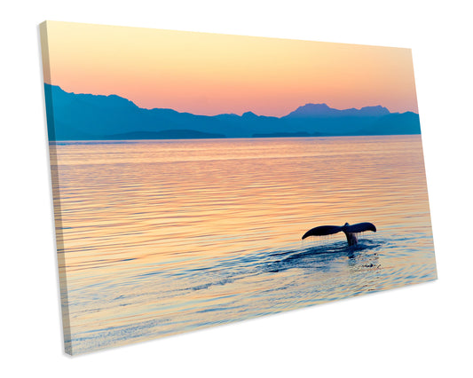 Sunset Ocean Whale Animal Wildlife CANVAS WALL ART Box Framed Picture Print