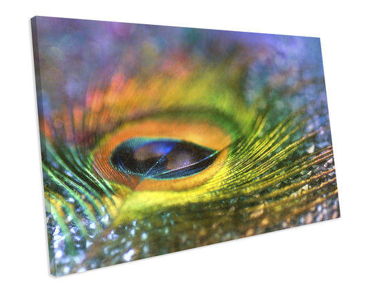 Peacock Feather Animal Abstract CANVAS WALL ART Box Framed Picture Print