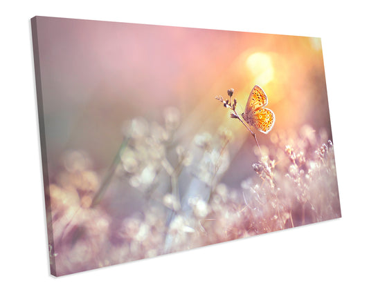 Butterfly Flowers Animal Wildlife CANVAS WALL ART Box Framed Picture Print