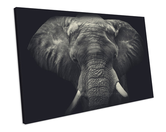 Elephant Animal CANVAS WALL ART Box Framed Picture Print
