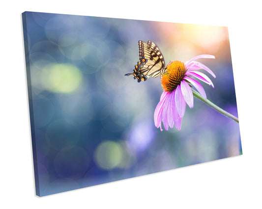 Butterfly Floral Animal CANVAS WALL ART Box Framed Picture Print
