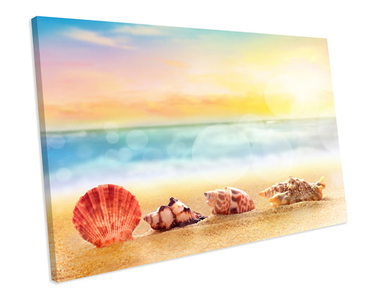 Sea Shells Bathroom CANVAS WALL ART Box Framed Picture