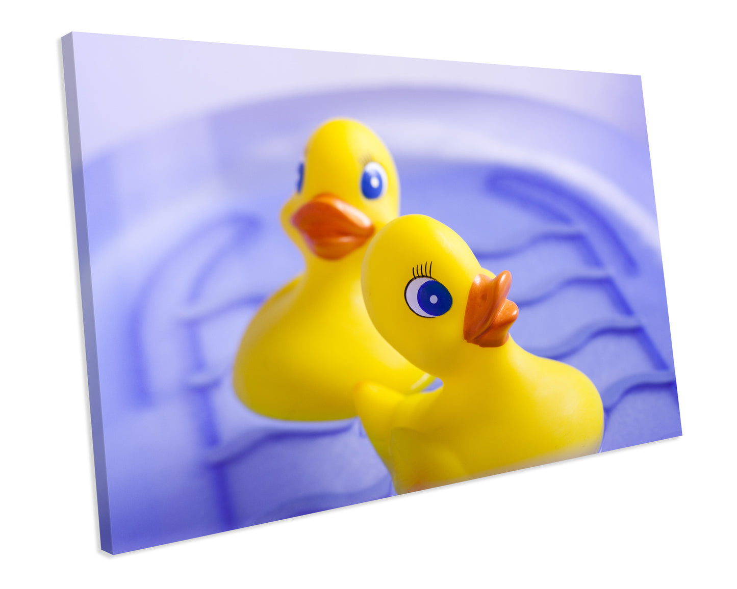 Rubber Ducks Water Bathroom CANVAS WALL ART Box Framed Picture