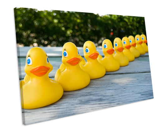 Rubber Ducks Bathroom CANVAS WALL ART Box Framed Picture
