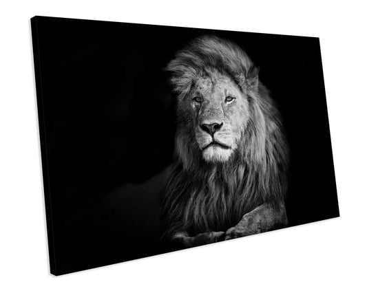 Lion Animal CANVAS WALL ART Box Framed Picture Print