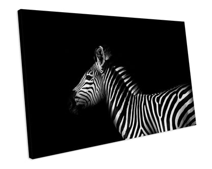 Zebra CANVAS WALL ART Box Framed Picture Print