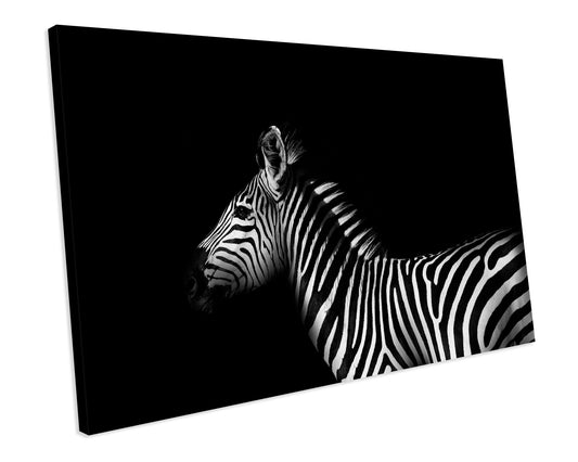 Zebra CANVAS WALL ART Box Framed Picture Print