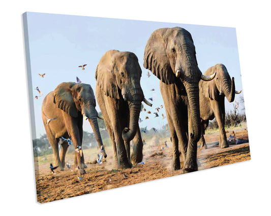 Elephants Animal CANVAS WALL ART Box Framed Picture Print