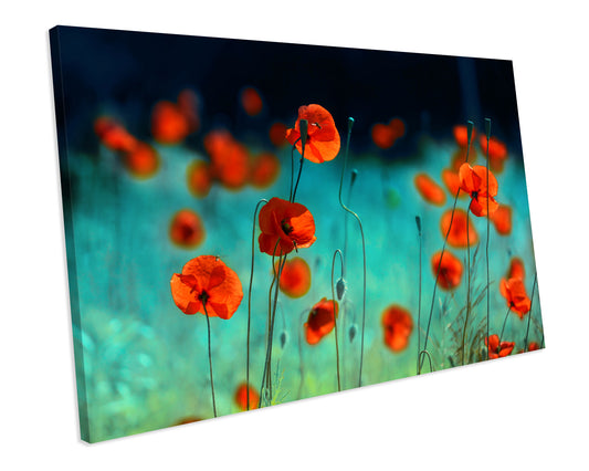 Red Poppies Flower Painting Abstract Artwork CANVAS WALL ART Box Framed Picture Printolourful