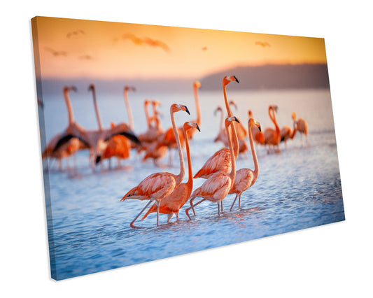 Sunset Flamingos Animal Wildlife CANVAS WALL ART Box Framed Picture Print
