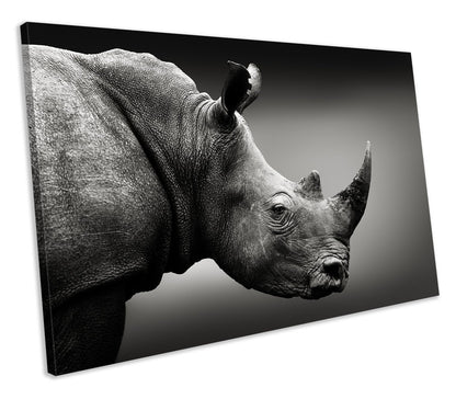 Rhino Animal Wildlife Nature Canvas Wall Art Print Framed Picture